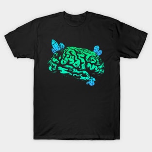 Crystals Brain - Green and Blue T-Shirt